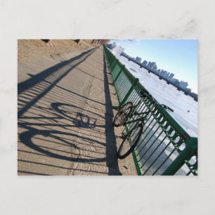 Brisk Shadows Postcard