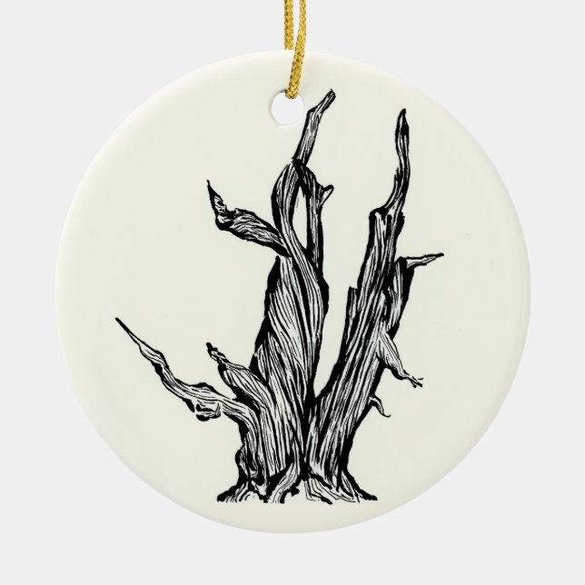 Bristlecone Pine Ceramic Ornament (Front)