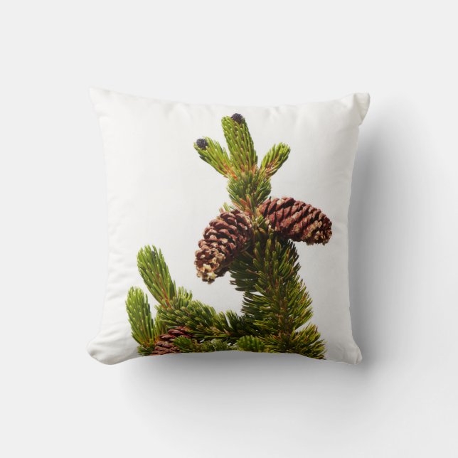 Bristlecone Pine Cushion (Front)