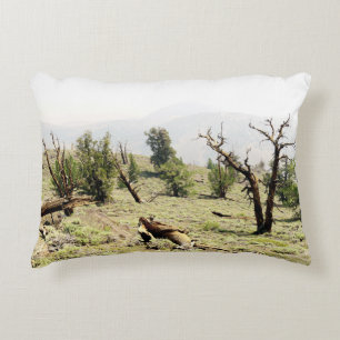 Bristlecone Pine Decorative Cushion
