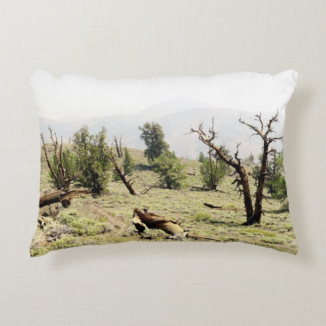 Bristlecone Pine Decorative Cushion (Front)