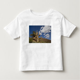 Bristlecone pine in Ancient Bristlecone Forest, Toddler T-Shirt