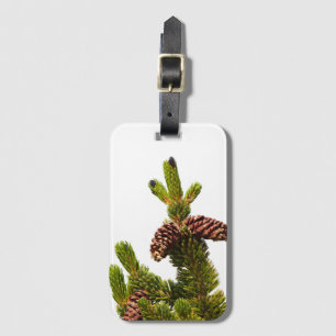 Bristlecone Pine Luggage Tag