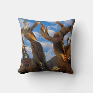 Bristlecone Pine Tree Cushion