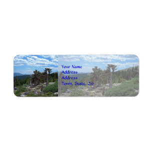 Bristlecone Pine Tree Return Address Label