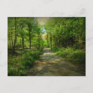 Bristol Avon Forest in Spring. Postcard