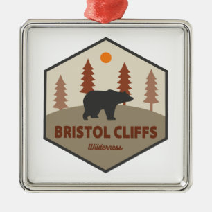 Bristol Cliffs Wilderness Bear Metal Ornament