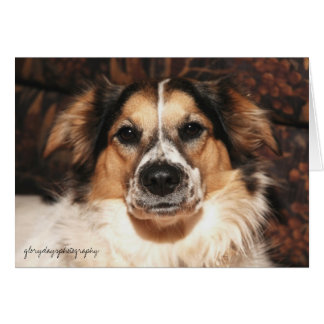 bristol, glorydaysphotography