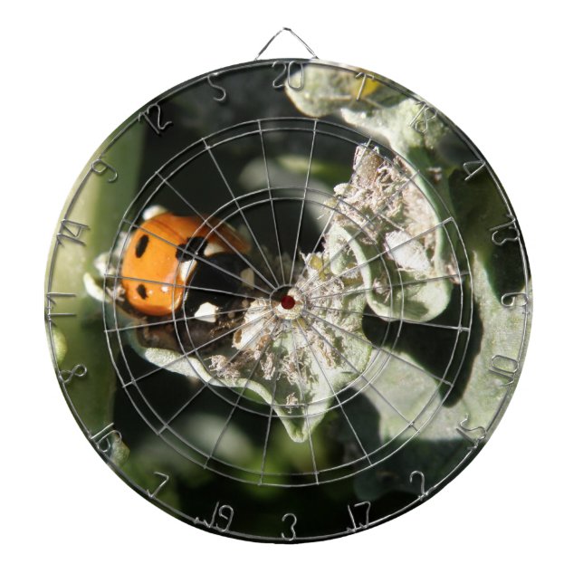 British 7 Spot Ladybug Dart Board (Front)