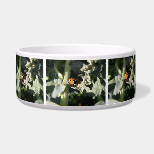 British 7 Spot Ladybug Dog Bowl