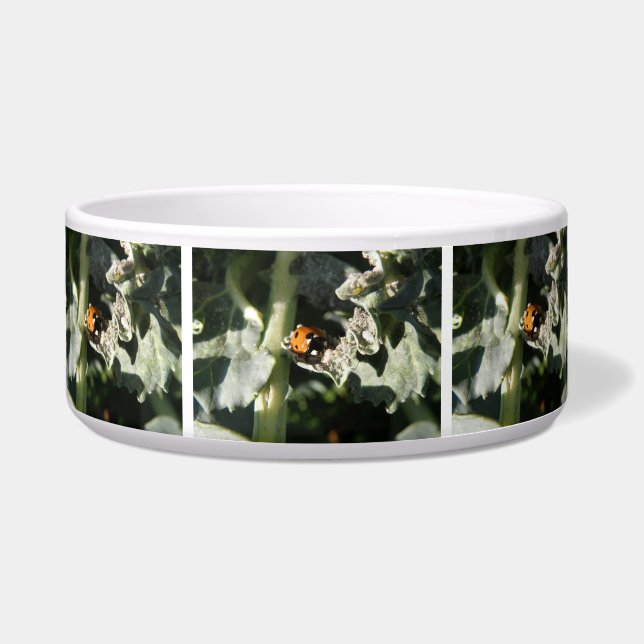 British 7 Spot Ladybug Dog Bowl (Front)