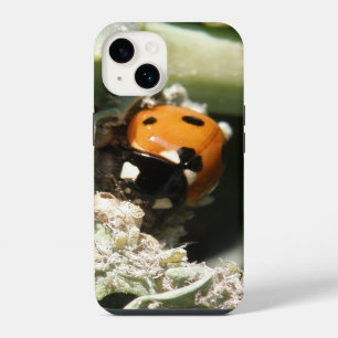 British 7 Spot Ladybug iPhone Case