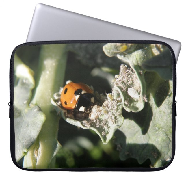 British 7 Spot Ladybug Laptop Bag (Front)