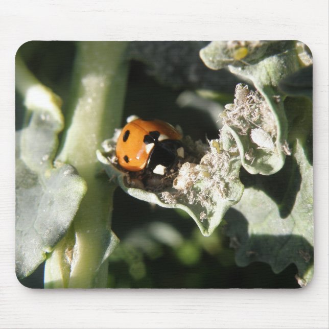British 7 Spot Ladybug Mousepad (Front)