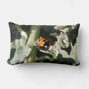 British 7 Spot Ladybug Pillow