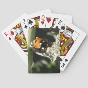 British 7 Spot Ladybug Playing Cards