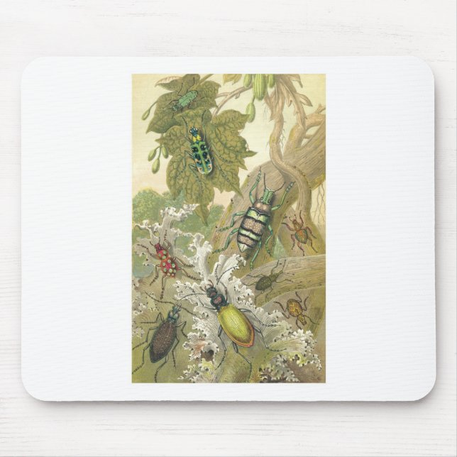 British Beetles Mouse Pad (Front)