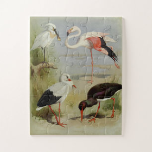 British Birds, Art Illustrations Jigsaw Puzzle