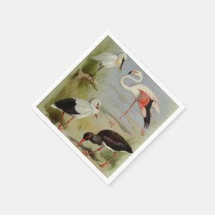 British Birds, Art Illustrations Napkin