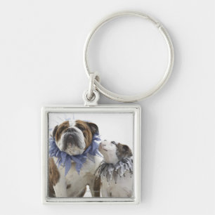 British bulldog and puppy wearing jester collar, key ring
