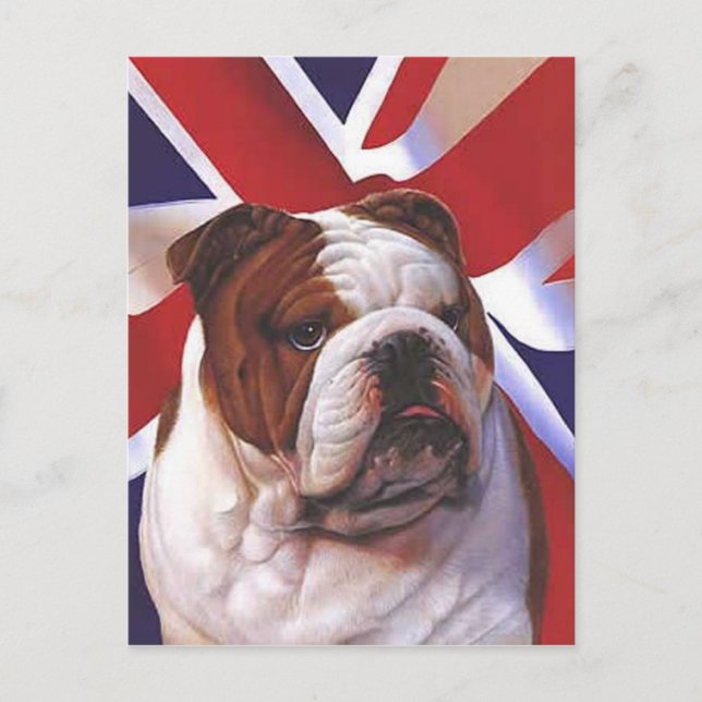 BRITISH BULLDOG POSTCARD (Front)