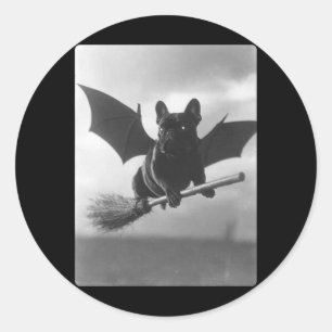 British Bulldog Witch Broom Bat Wings Spooky Classic Round Sticker