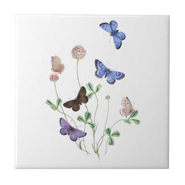British Butterflies on Clover Ceramic Tile (Front)