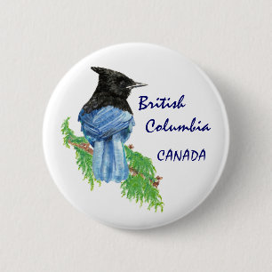 British Columbia Canada Watercolor Stellar Jay 6 Cm Round Badge
