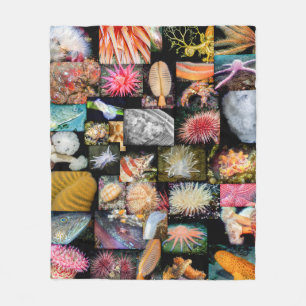 British Columbia Marine Life Collage Blanket