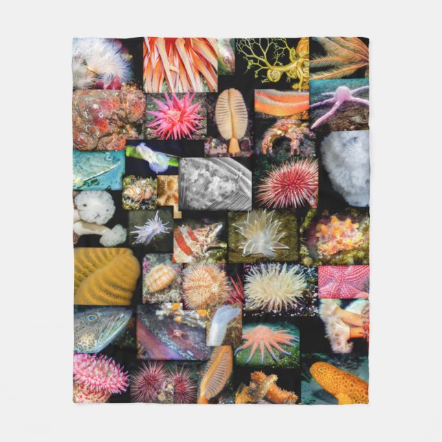 British Columbia Marine Life Collage Blanket (Front)