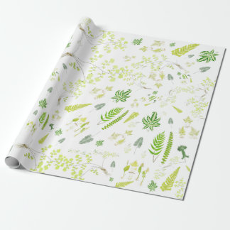 British Ferns in Victorian Drawings Wrapping Paper