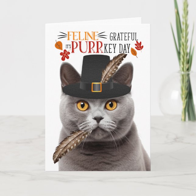 British Grey Cat Feline Grateful for PURRkey Day Holiday Card (Front)
