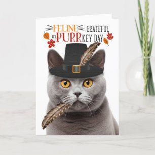 British Grey Cat Feline Grateful for PURRkey Day Holiday Card