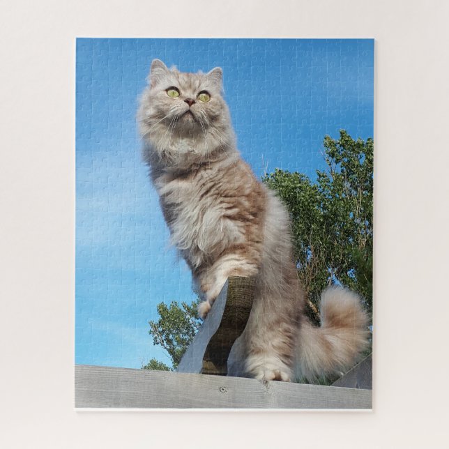 British Longhair Cat - Chocolate, Silver Tabby Jigsaw Puzzle (Vertical)