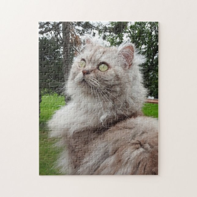 British Longhair Cat - Chocolate, Silver Tabby Jigsaw Puzzle (Vertical)
