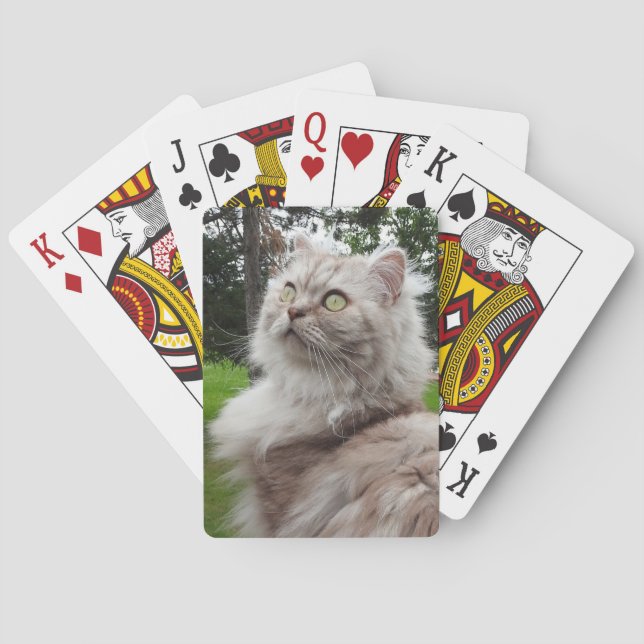 British Longhair Cat - Chocolate, Silver Tabby Playing Cards (Back)