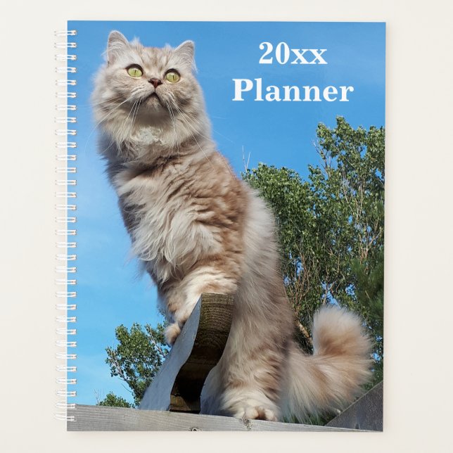 British Longhair Cat Yearly Planner (Front)