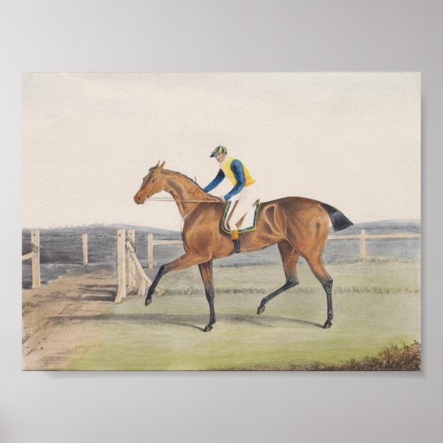 British Racehorse (The Duchess) Poster (Front)
