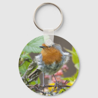 British Robin in Spring keychain