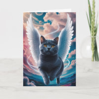 British Shorthair Angel Sympathy