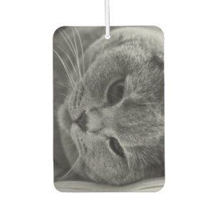 British Shorthair Cat Car Air Freshener