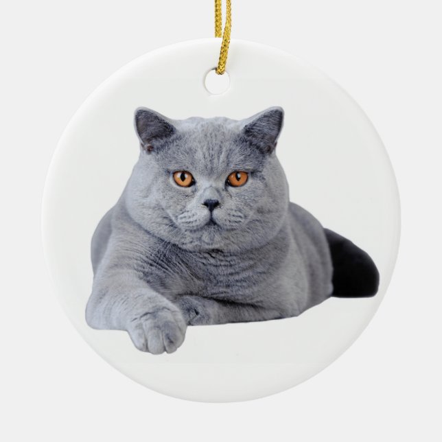 British shorthair cat ceramic tree decoration (Front)