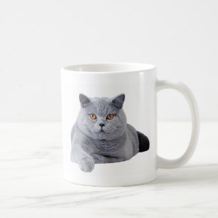 British shorthair cat coffee mug