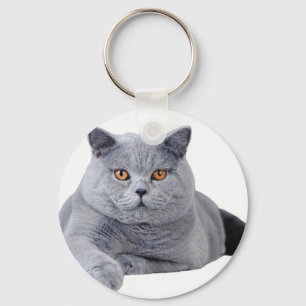 British shorthair cat key ring