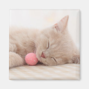 British Shorthair Cat Magnet