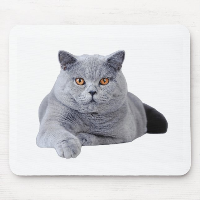 British shorthair cat mouse pad (Front)