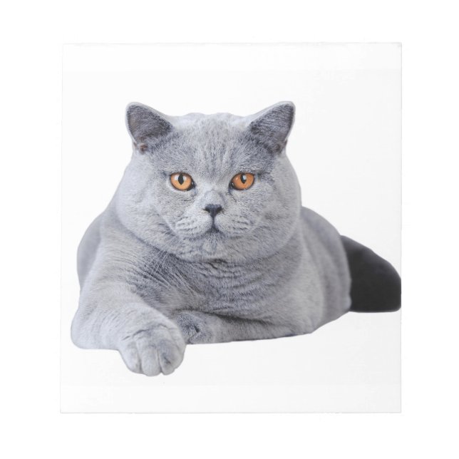 British shorthair cat notepad (Front)