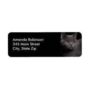 British Shorthair Cat Return Address Label