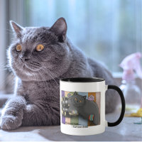 British Shorthair Cat Sandals Beach Ready Funny
