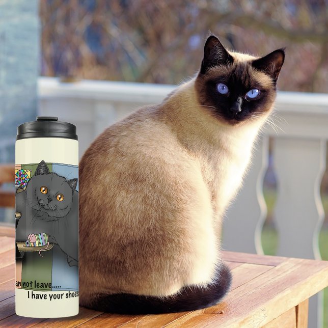 British Shorthair Cat Sandals Funny Cute Thermal Tumbler (Creator Uploaded)